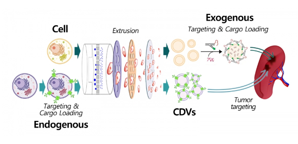 跨生理屏障的新型核酸納米遞送系統(tǒng)